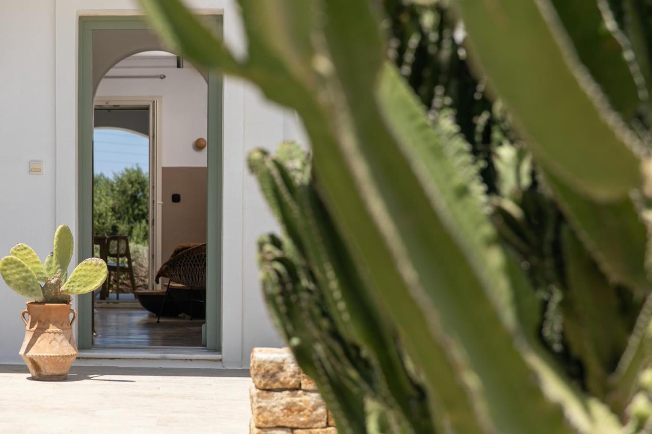 Naxos Euphoria Suites Stelida  Eksteriør bilde